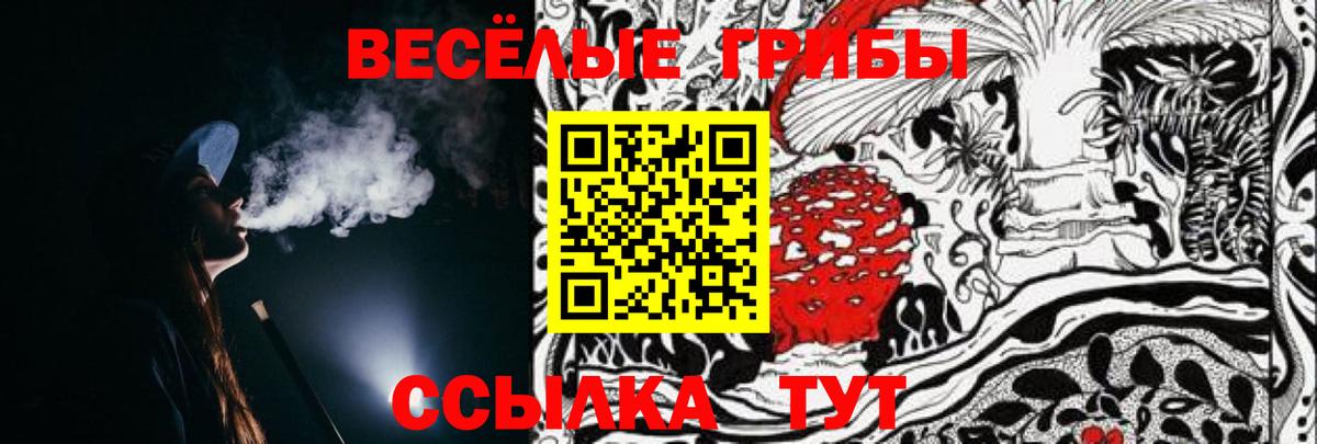 Псилоцибиновые грибы прущие грибы Ижевск