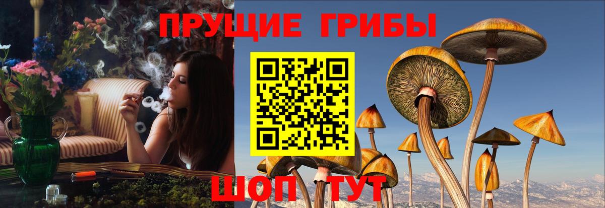 Ижевск  Псилоцибиновые грибы прущие грибы  Вход с VPN 